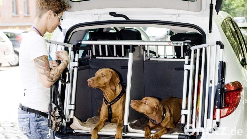 Grundsätzlich sollten Besitzer eines Hundes das Tier bei sommerlichen Temperaturen nicht im Auto zurücklassen. Auch wenn es nur ein kurzer Einkauf ist, steigt die Hitze im Inneren des Fahrzeugs schnell an. Symbolbild:  Monique Wüstenhagen/dpa