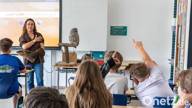 Michaela Domeyer und ihr Habichtskauz Birke besuchen die Klasse 5a der Erbendorfer Mittelschule. Bild: Susanne Forster