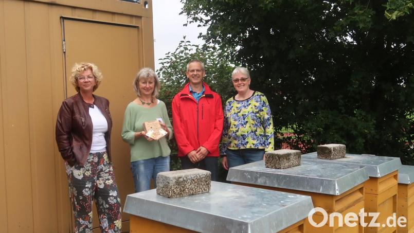 Die Arbeit des Imkervereins unterstützt der Schnäppchen- und Flohmarktladen Vilseck mit einer 500-Euro-Zuwendung (von links): udrun Quarder, Marianne Metzner, Rainer Schwabe und Veronika Pröls. Bild: rha