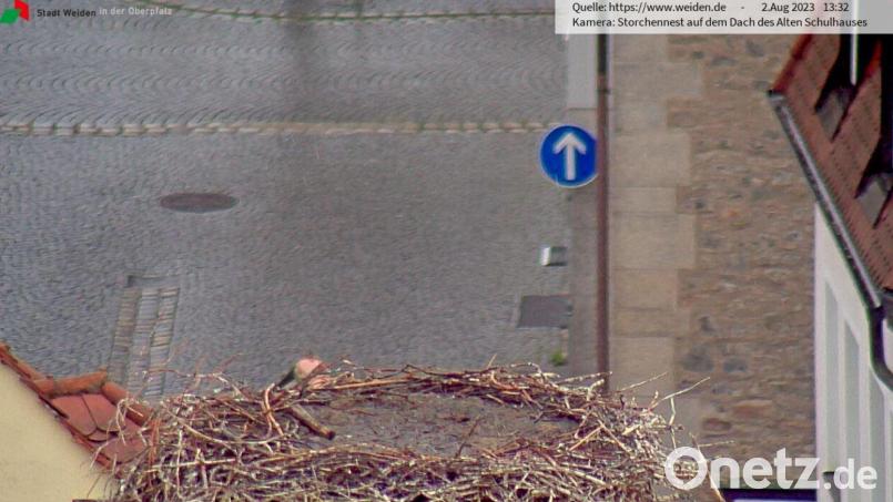 Ein leeres Storchennest auf dem Alten Schulhaus in Weiden ist aktuell keine Seltenheit: Die Jungstörche sind flügge geworden. Screenshot: www.weiden.de/exb