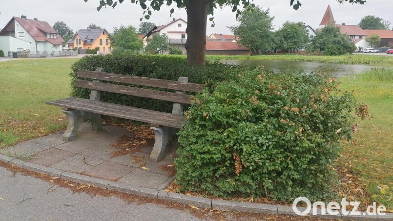 Weitere Sitzgelegenheiten sind ein Wunsch der Stullner Bürger. Bild: wrl
