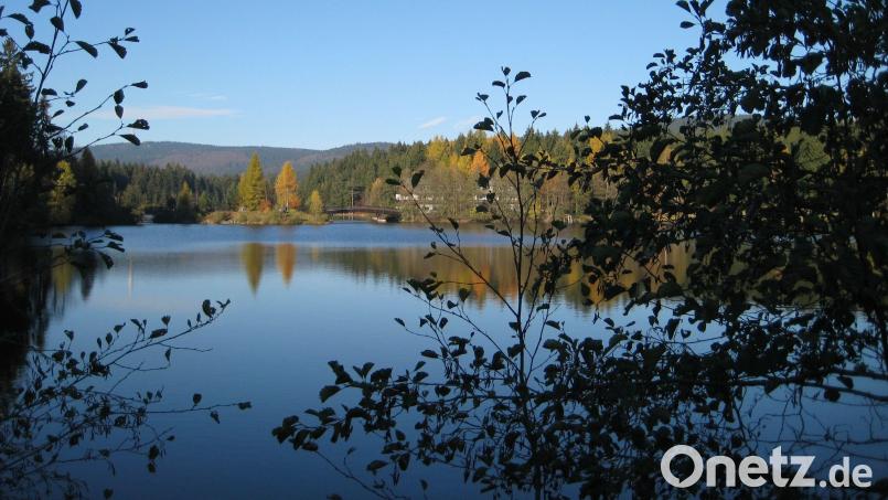 Familie Köhler besucht bei ihren Urlauben in Mehlmeisel die Seen der Umgebung. Dazu zählt natürlich auch der Fichtelsee. Archivbild: gis