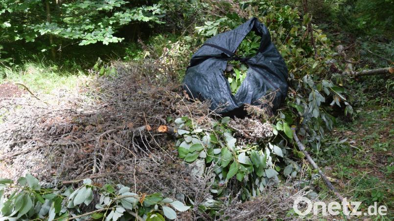 Gleich hinter Mendorferbuch, auf Höhe der Abzweigung nach Lohe, findet man diese illegale Abfalldeponie. Obenauf sitzt ein prall gefüllter Gartenabfallsack. Bild: bö