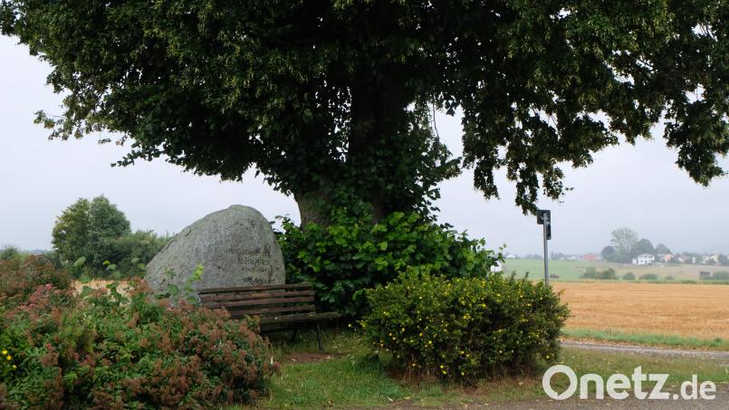 Der Münchhof bei Kalmreuth soll zusätzlich zur mächtigen Linde, dem Gedenkstein und einer Ruhebank ein Holzkreuz vom OWV bekommen. Bild: le