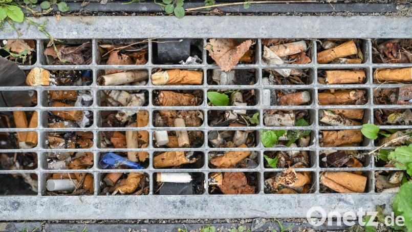 Durchschnittlich drei Zigaretten pro Quadratmeter fanden Forscher vor einigen Jahren in Berlin - das Maximum waren 49 pro Quadratmeter. Bild: Patrick Pleul/dpa