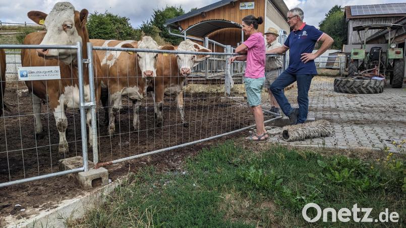 Zwischendurch mal bei den Kühen vorbeischauen. Wenn es ihnen gut geht, dann sind auch die Hofbesitzer Rita und Andreas Kulzer mit Opa Willi glücklich Bild: eib