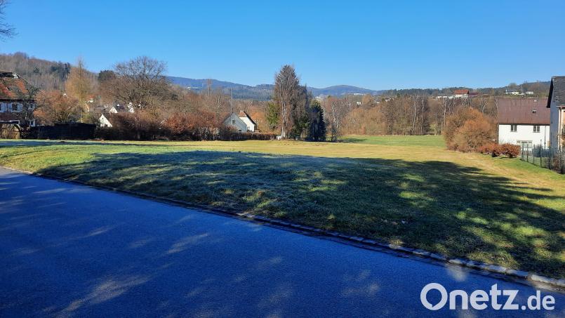 Hier soll das neue Baugebiet &quot;Am Forsthaus&quot; entstehen. Bild: bey