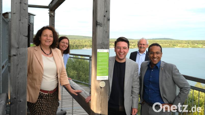 Ruth Müller, Karin Frankerl, Peter Wein, Harald Bemmerl und Nasser Ahmed (von links) genießen beim Aufstieg zur Kugelplattform den Blick über das Oberpfälzer Seenland. Bild: Hirsch