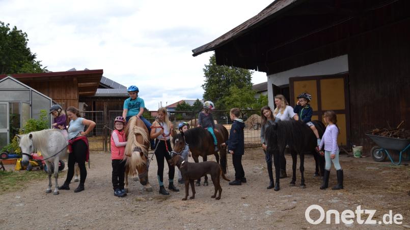 Viel Spaß macht es den Kindern, als Pony-Detektive das versteckte Futter für die Vierbeiner zu suchen. Bild: gi