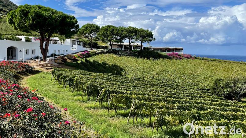 Im Weingut Capofaro wachsen die Reben in unmittelbarer Nähe zum Meer. Bild: Bernhard Krieger/dpa
