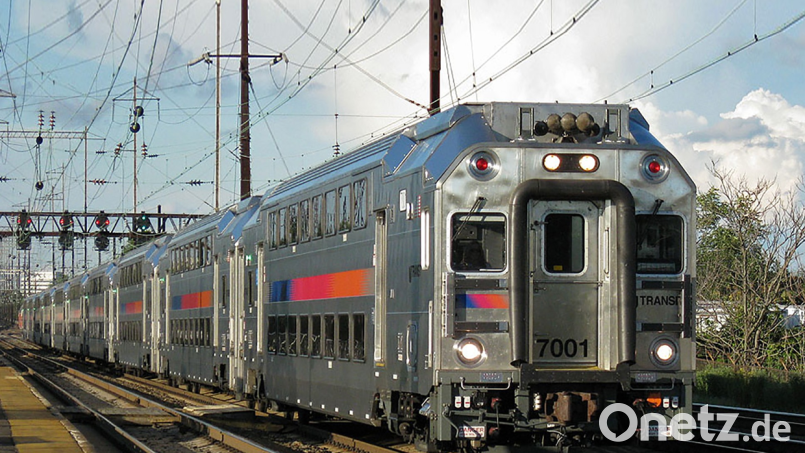In diesem Zugmodell in den USA werden künftig die Bioreaktoren aus Hirschau mit an Bord sein. Bild: Protec Rail