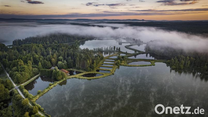 Die Waldnaabaue zwischen Tirschenreuth und Wiesau ist ein touristisches Highlight der Region. In einer Broschüre gibt es nun viele Tipps und Informationen für die Erkundung des Gebiets. Archivbild: Thomas Kujat/Oberpfälzer Wald