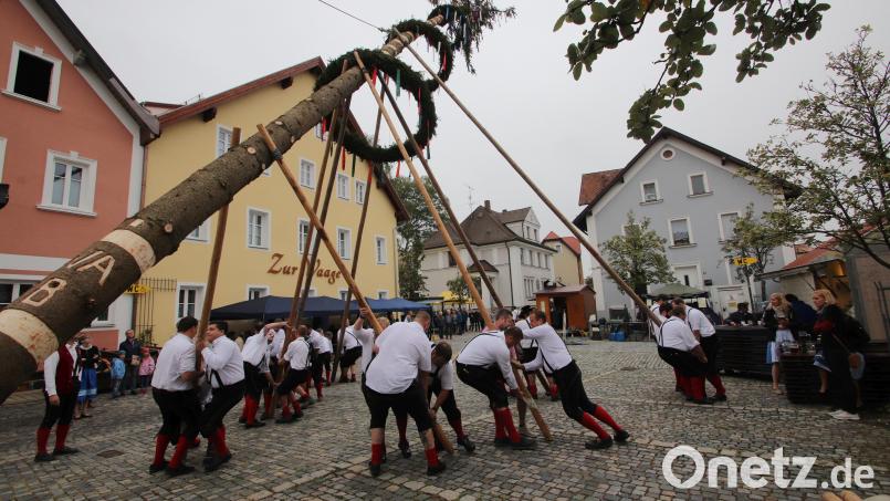 Zum echten Oberpfälzer Kirwabrauchtum gehört das Baumaufstellen mit den Schwalben. Heuer nimmt den Baum aber wieder ein Autokran an den Haken. Archivbild: mfh