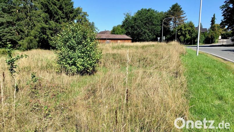 Diese Wiese hinter dem &quot;Postkeller&quot; ist designiertes Bauland. Pläne dafür sind allerdings noch nicht bekannt. Bild: Gabi Schönberger