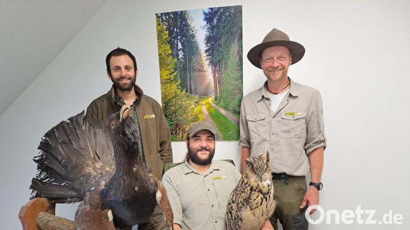 Mit Auerhahn und Uhu sind Nico Daume, Andreas Hofmann und Ronald Ledermüller (von links) nicht nur in präparierter Form vertraut: Die Ranger kennen sich aus mit allem, was im Naturpark Fichtelgebirge kreucht und fleucht. Bild: Brigitte Gschwendtner/fph
