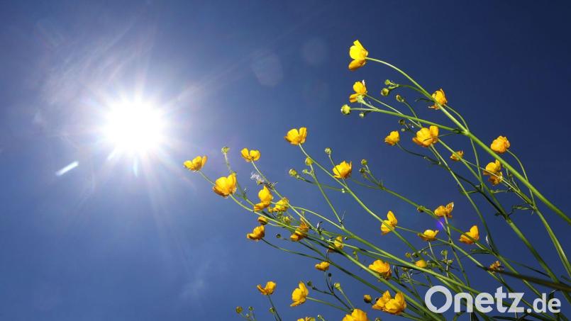 Sonnig und heiß, ohne große Schauer – das sagt Wetterexperte Andy Neumaier für das Wochenende und die kommende Woche voraus. Symbolbild: Karl-Josef Hildenbrand/dpa
