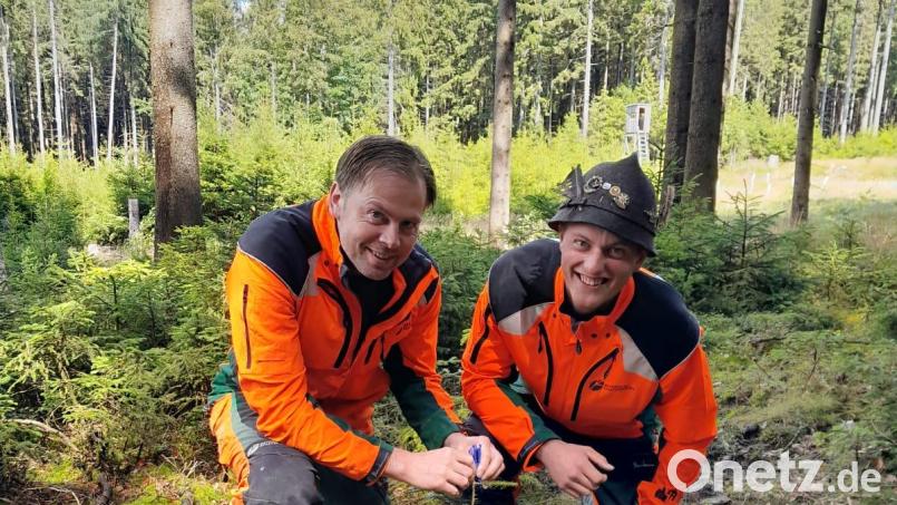 Gemeinsam mit seinem Mentor ist Forstwirt-Quereinsteiger Johannes Frank im Wald unterwegs. Dort lernt der Bärnauer, wie eine kleine Tanne vor Rehwildverbiss geschützt wird. Bild: Forstbetrieb Waldsassen/exb