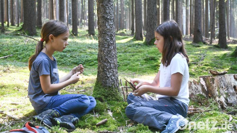 Emma und Lena haben schon einen Plan: Viel Moos und viele Stöcke brauchen sie für ihr Wichtelhaus. Bild: Gabi Schönberger
