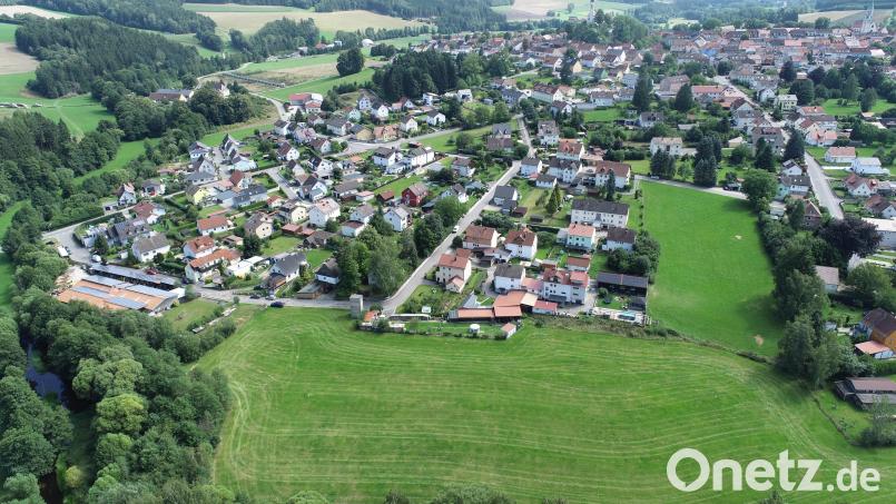 Die Grünfläche zwischen der Wohnbebauung (links) und den Hecken (rechts) wird bis zur unteren sichtbaren natürlichen Grundstücksgrenze das neue Baugebiet &quot;Am Forsthaus&quot;. Der Bauausschuss erteilt den Auftrag, die Planung für die Aufstellung des Bebauungsplans fortzuführen. Bild: bey