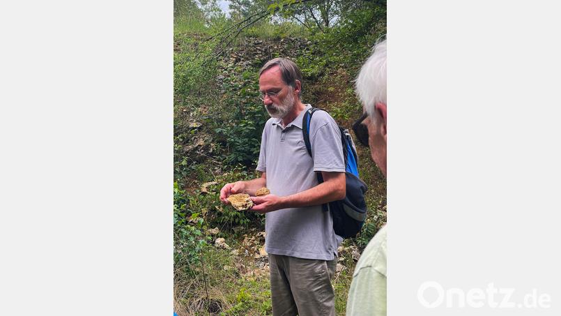 Geologie im Steinbruch einmalig und erhaltenswert. BUND Ortsgruppe Kirchenthumbach bekam Unterstützung durch Dr. Andreas Peterek, Geschäftsführer des Geoparks Bayern-Böhmen. Bild: ilt