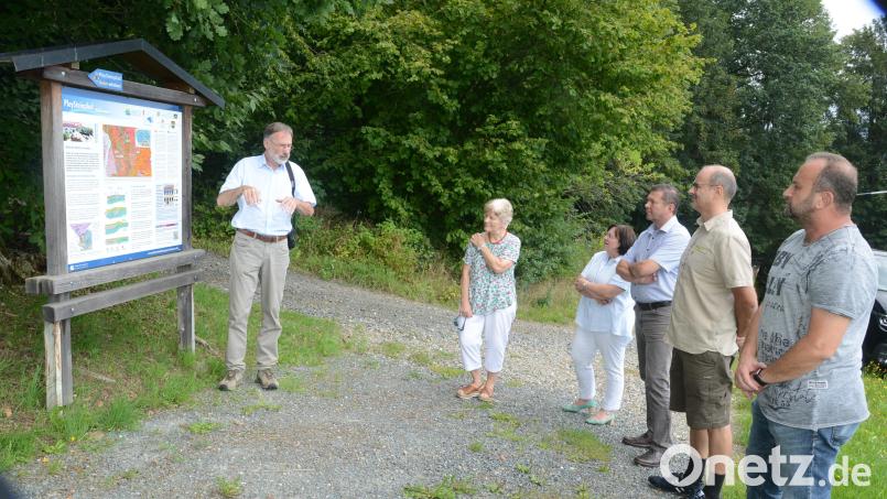 Dr. Andreas Peterek (links) stellt die neuen Informationstafeln dem Zuhörerkreis mit Uli Rupprecht, Bauamtsleiter Stadt Pleystein, Geoparkranger Holger Hoffmann, Bürgermeister Rainer Rewitzer, Christa Walbrunn und Grete Reger (beide Museumsarbeitskreis) vor. Bild: bey