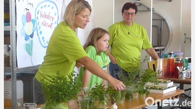Neben dem Ausbuttern hat sich der Gartenbau- und Ortsverschönerungsverein auch ein Kräuter-Rätsel ausgedacht. Bild: GOV Schwarzhofen/exb