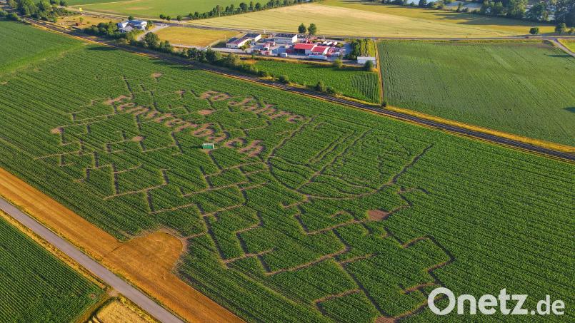 Das Maislabyrinth der Familie Pronath nach dem Motto &quot;50 Jahre Fensterbach&quot;. Bild: Wolfgang Aures/exb