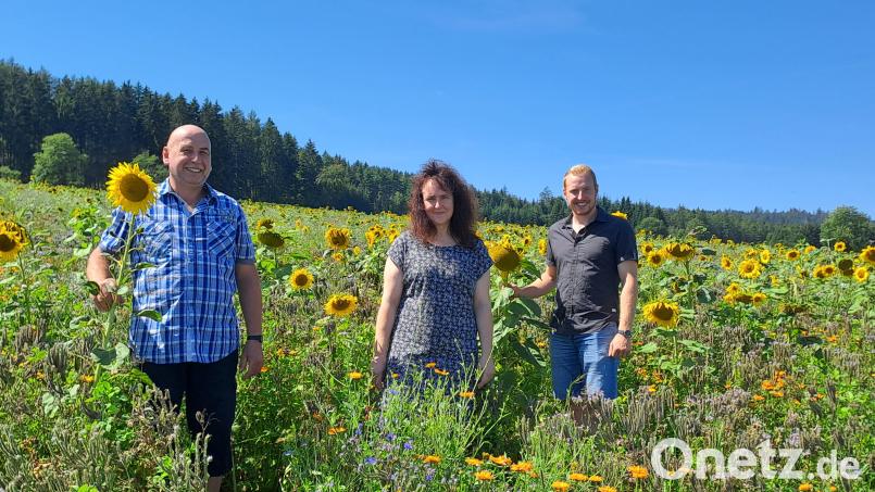 Klaus, Christl und Andreas Hautmann (von links) vor Sonnenblumen, Buchweizen, Ringelblumen und Co., so weit das Auge reicht. Bild: gis