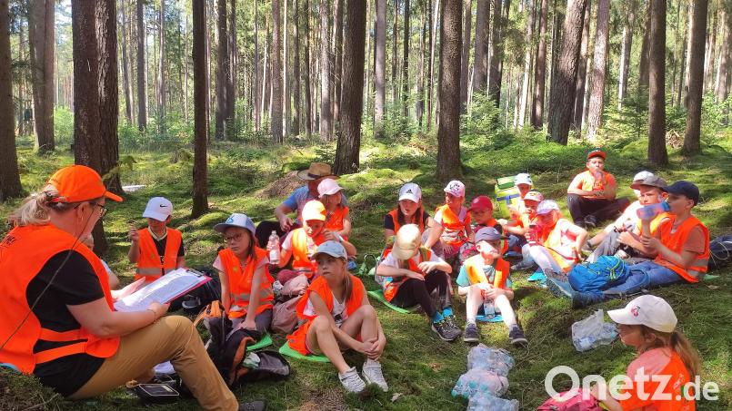 Die Kinder hören Waldpädagogin Erika Grötsch (links) bei der Entdeckungstour im Waldgebiet &quot;Föhra&quot; aufmerksam zu. Bild: pi