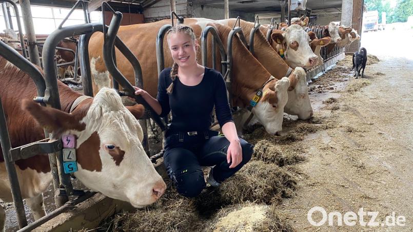 Marina Dietl (19) hat sich für den Beruf der Landwirtin entschieden. Nach der Ausbildung wird die Meisterprüfung das nächste Ziel sein. Bild: cv