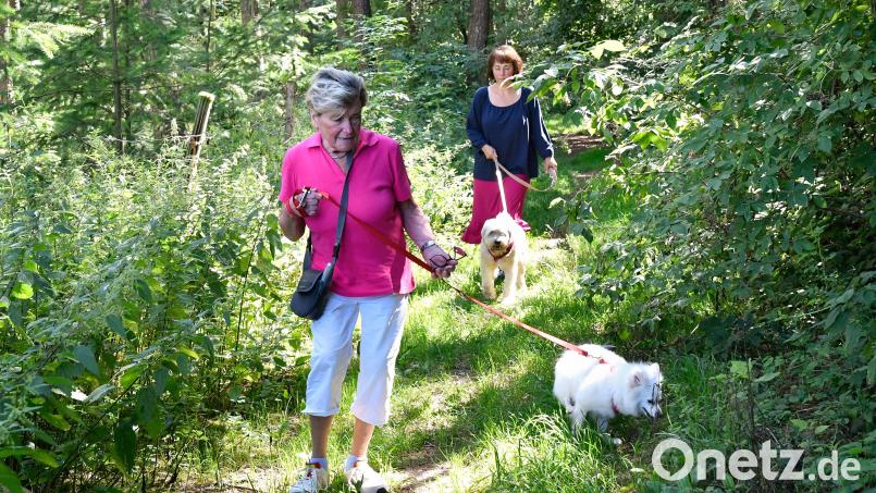 Annelies Gläßl (links) führt Hündin Sissi aus dem Amberger Tierheim regelmäßig spazieren. Ingrid Mallmann (rechts) hält Joschi an der Leine. Bild: Petra Hartl