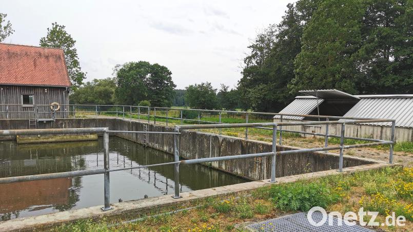 Die Ertüchtigung der Kläranlage Gaisthal ist nicht mehr weiter aufschiebbar. Rund 750 000 Euro muss die Stadt Schönsee dafür in die Hand nehmen. Bild: Portner