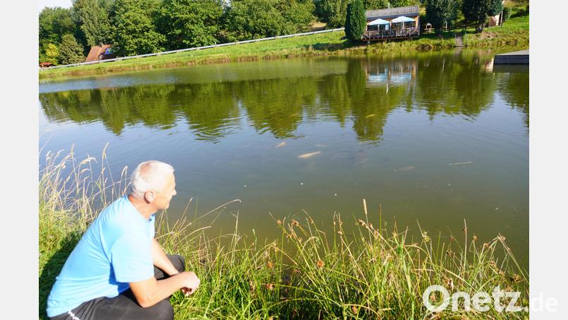 Herbert Bäumler beobachtet die Karpfen und Rotfedern am Waldthurner Badeweiher, die durch ein Aufwühlen des Bodens das Algenwachstum bremsen. Bild: fvo