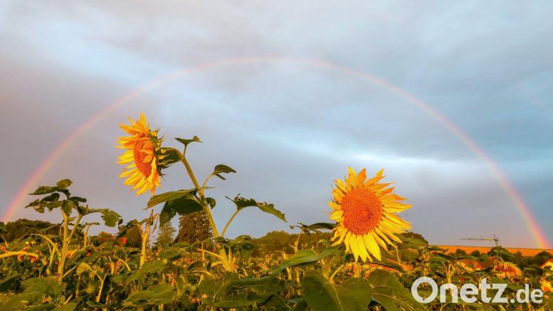 Es holpert sich quasi nach und nach in etwas mehr Spätsommerwetter, sagt Wetter-Experte Andy Neumaier. Symbolbild: Thomas Warnack/dpa