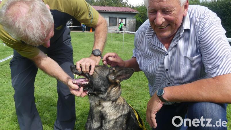 „Dörte vom dampfenden Kessel“ zeigte Körmeister Wolfgang Haßgall (rechts) ein fehlerfreies Gebiss. Bild: rn