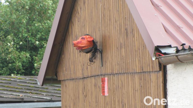 An dem Holzhaus in Drahthammer prangt ein Schweinskopf – eine Faschingsmaske mit schwarzer Perücke. Bild: naf