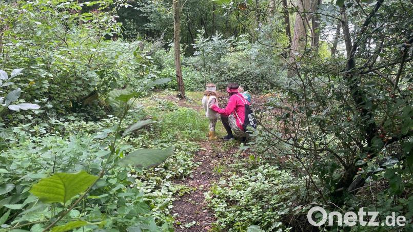 Beim Sportplatz Stulln geht es in den Wald, wo künftig Kinder toben können, wenn erst einmal der Waldkindergarten eingerichtet ist. Bild: Weinfurtner/exb