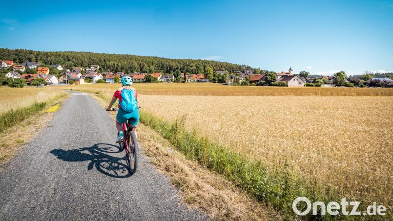 Radeln am Bayerisch-Böhmischen Freundschaftsweg, so geht nachhaltiger Urlaub. Wie beliebt ist diese Form des Reisens? Bild: Thomas Kujat/Tourismuszentrum Oberpfälzer Wald