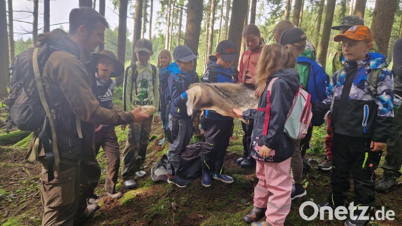 Mit Interesse betrachteten die Kinder das von Andreas Greiner mitgebrahte Wildschweinfell. Bild: exb/Regins Schedl