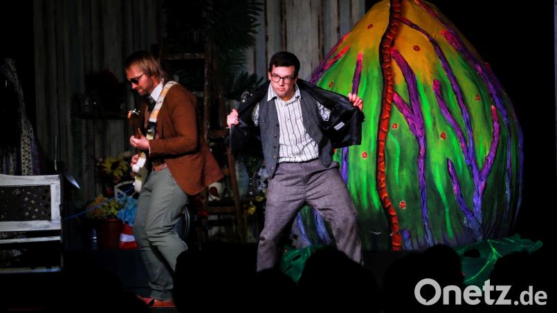 "Der kleine Horrorladen" - ein abgefahrenes Grusel-Musical Bild: exb/OVIGO Theater