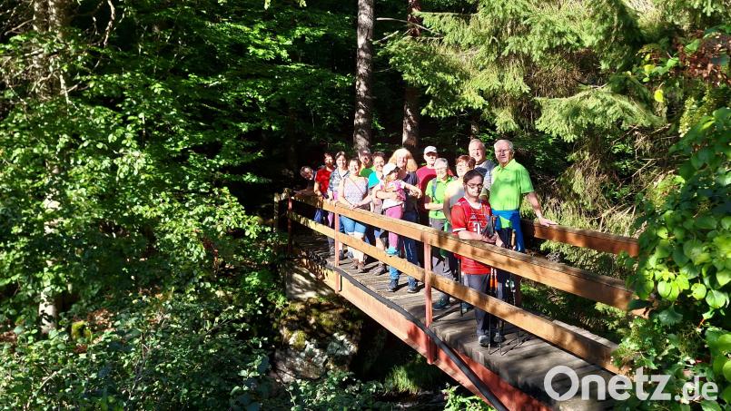 Die Rosenthal-Wanderung mit Ernst Meindl unternehmen 14 Teilnehmer in Schönsee. Bild: Ernst Meindl/exb