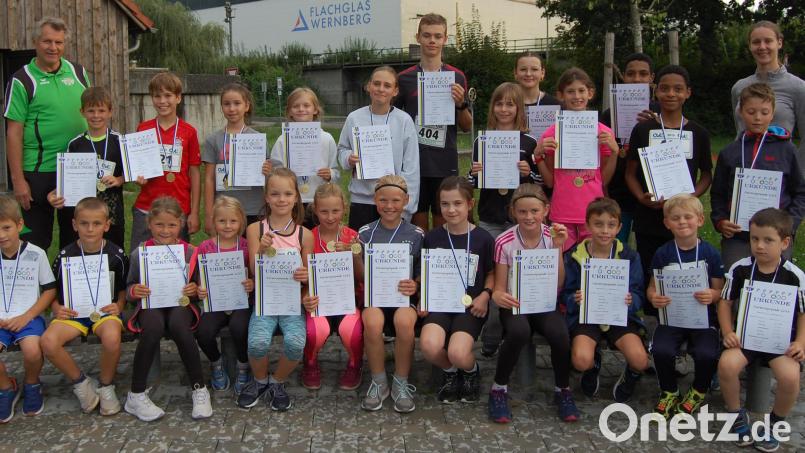 Die Leichtathletik-Abteilung des TSV Detag Wernberg organisiert für die Kinder im Ferienprogramm ein Sportfest. Bild: Alois Kiendl/exb