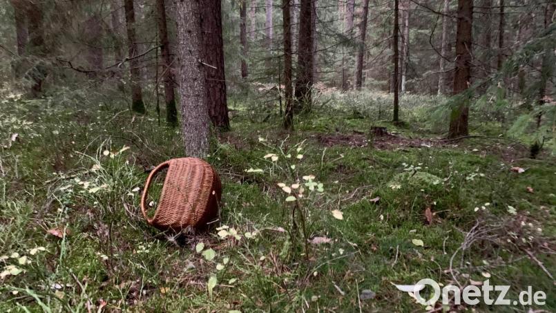 Ein gutes Ende nahm eine Vermisstensuche bei Bad Neualbenreuth. Symbolbild: Gabi Schönberger