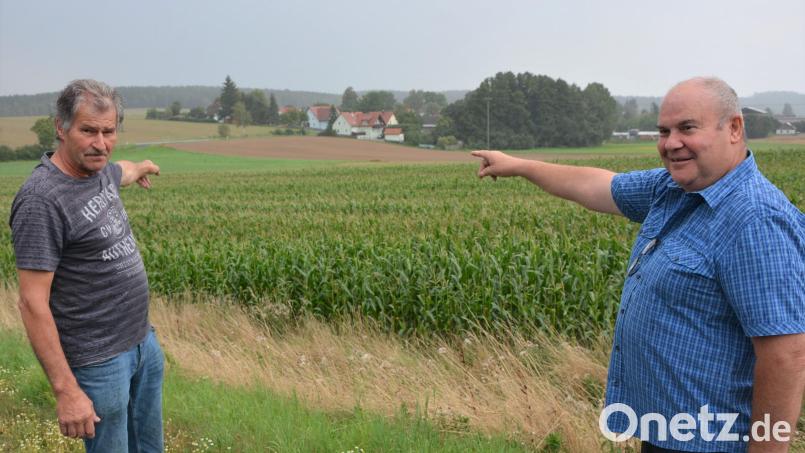 Eine der geplanten Freiflächen-Photovoltaikanlagen soll auf diesem bisher als Maisfeld genutzten Areal an der Straße von Konnersreuth nach Waldsassen errichtet werden. Einige Häuser in Neudorf (hinten) wären davon nur knapp 150 Meter entfernt, wie Josef Zinnecker (links) und Bruno Rosner aufzeigen. Bild: jr