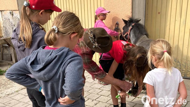 Unter Anleitung von Peter Wenisch reinigt eine Teilnehmerin die Hufe eines Pferdes, während die anderen Mädchen das Geschehen genau beobachten. Bild: no