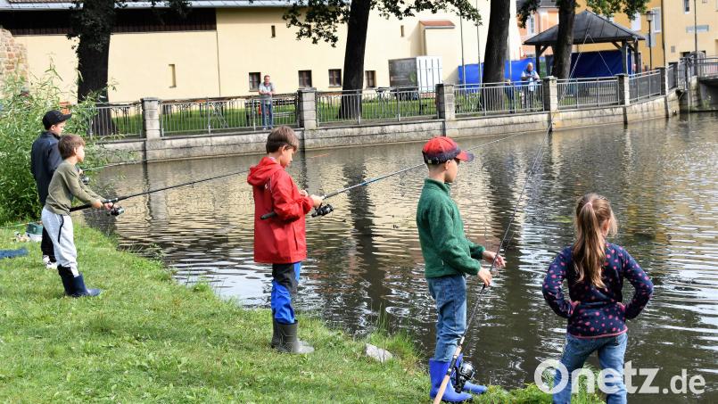 Wegen des &quot;Schnupperangelns&quot; herrscht reges Treiben am Stadtweiher in Grafenwöhr. Bild: rgr