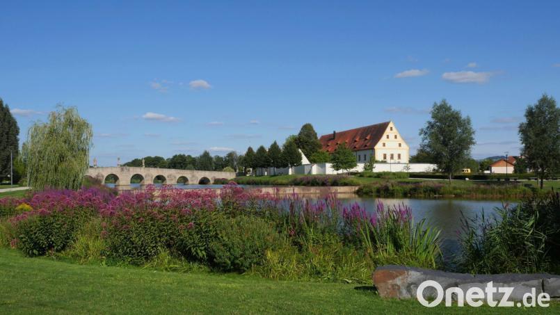 Die Johann-Andreas-Mittelschule Tirschenreuth und der Lions-Club Tirschenreuth unterstützten mit einem Sponsorenlauf rund um den Fischhofpark das Hilfsprojekt „Ein-Dollar-Brille“. Archivbild: tr