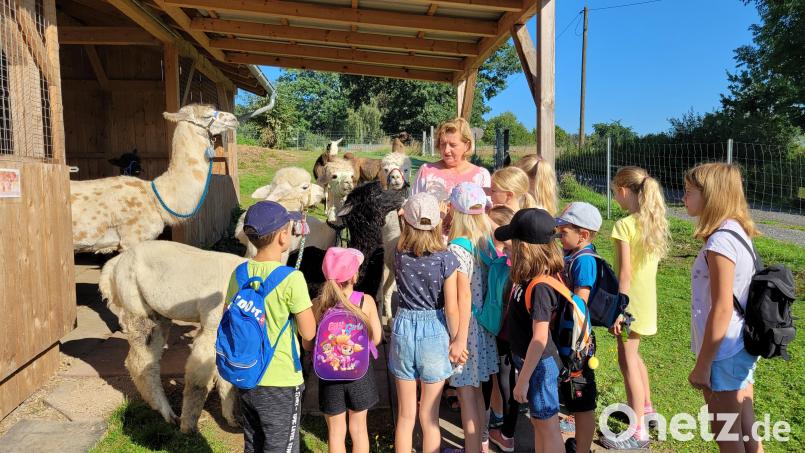 Viel Freude bereitete zwölf Kindern eine Wanderung mit den Lamas und Alpakas von Berta Frank im Rahmen des Ferienprogramms. Bild: Werner Hahn/exb