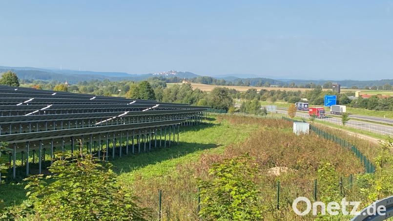 Die Freiflächenphotovoltaikanlage der Zukunftsenergie Nordoberpfalz GmbH (ZENO) in Vohenstrauß an der A 6 Nähe Neuwirtshauser Weg hat eine Größe von 3,82 Hektar. Bild: ck