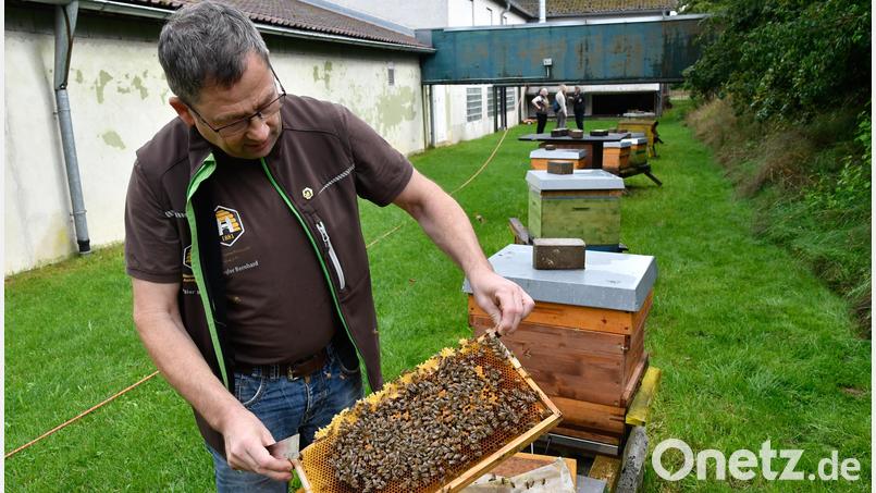 Bernhard Stiegler bildet junge Imkerinnen und Imker an den Bienenstöcken aus. Bild: Petra Hartl